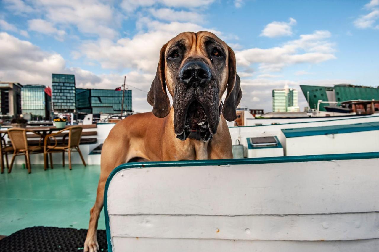 Amsterdam Hotelboat Экстерьер фото